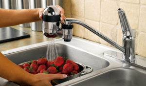 faucet water filter with strawberries in the sink