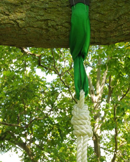 Green sling around tree limb to attach swing rope to 