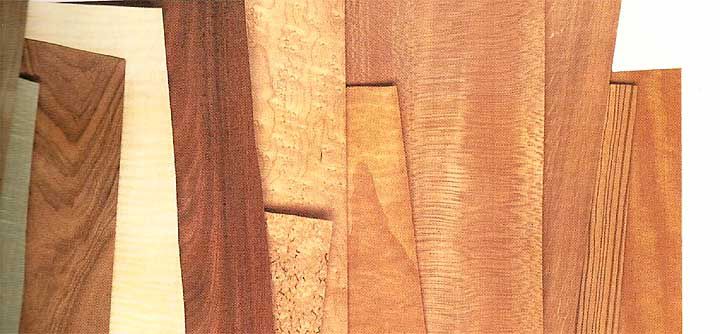 The color of the veneer
