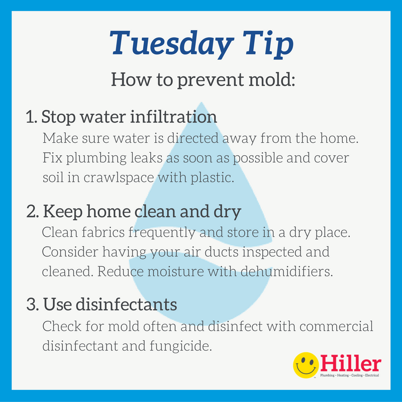 3 mold prevention tips
