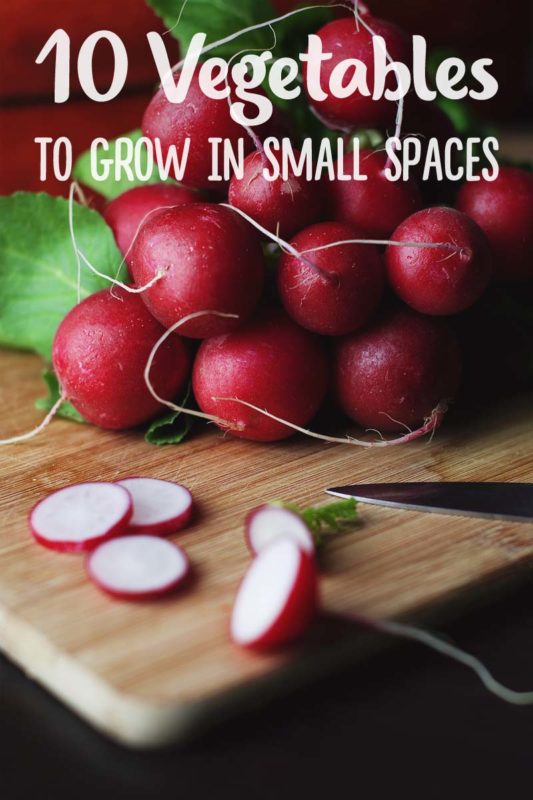 10 Best Vegetables to Grow in Small Spaces