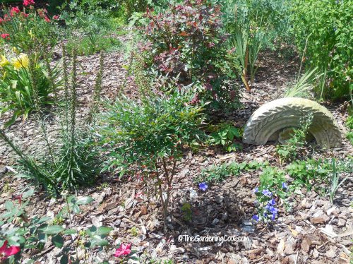 Use stone or rock in cottage gardens