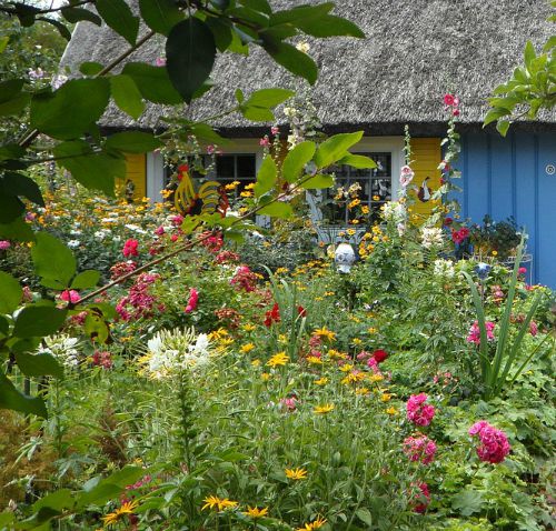 Vary the height of plants in a cottage garden