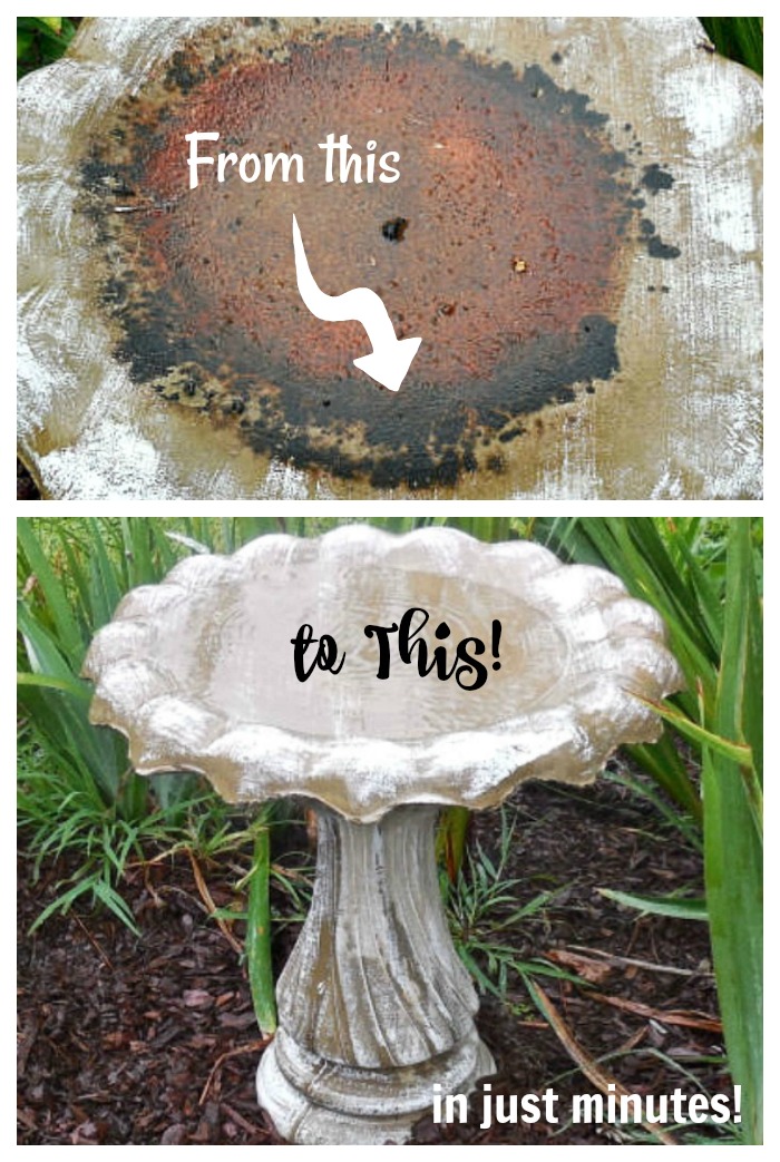 Find out how to clean a dirty bird bath in just minutes