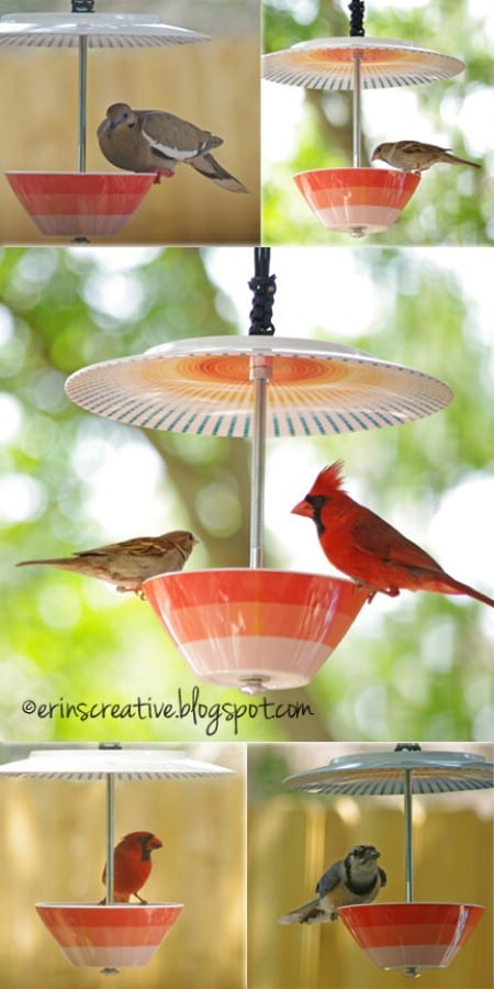 Plate and Bowl Birdfeeder - 23 DIY Birdfeeders That Will Fill Your Garden With Birds