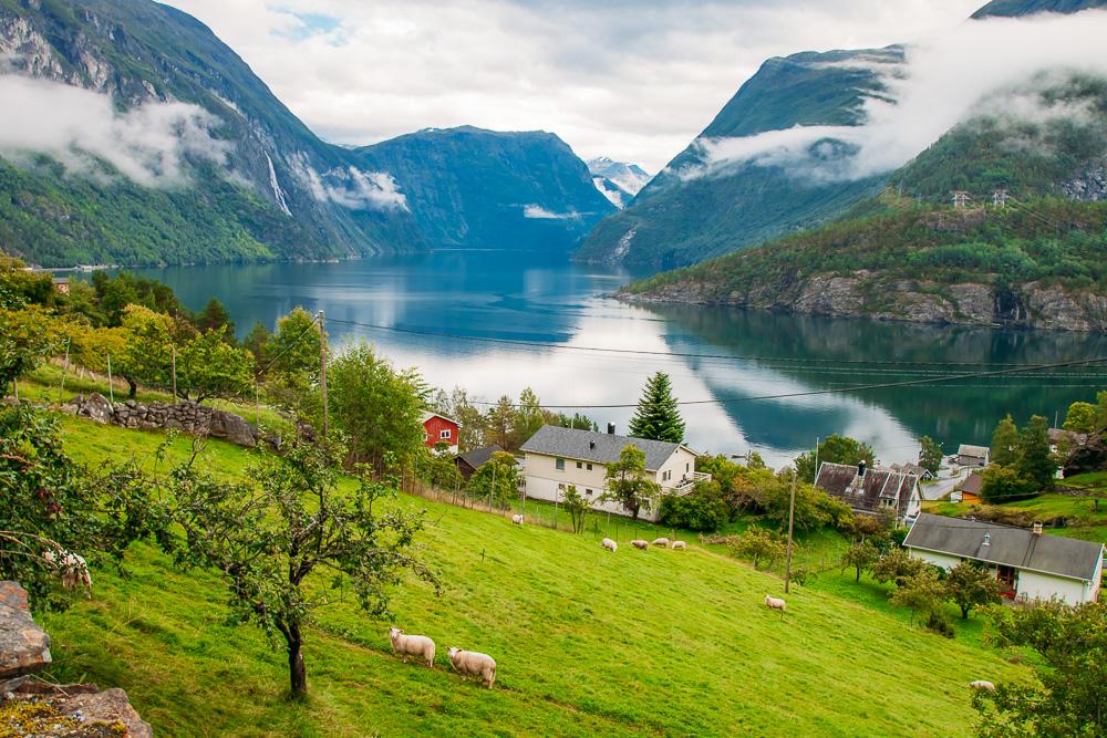 trollstigen road trip norway fjords