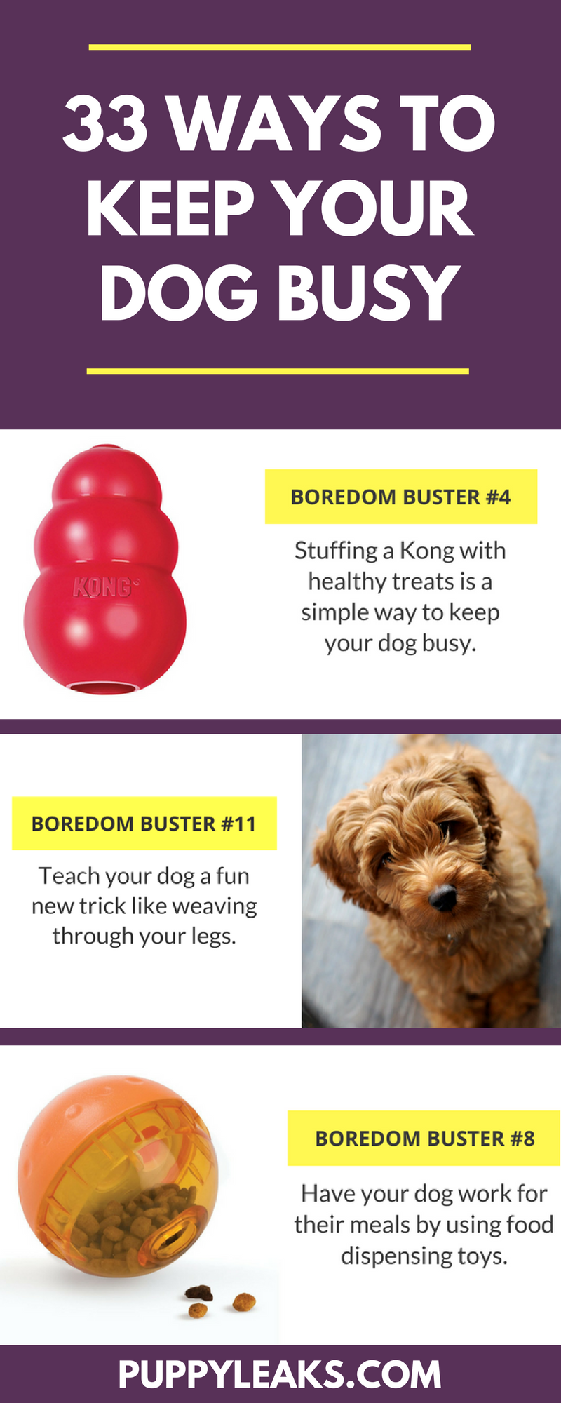 Is Your Dog Bored? 33 Simple Ways to Keep Your Dog Busy
